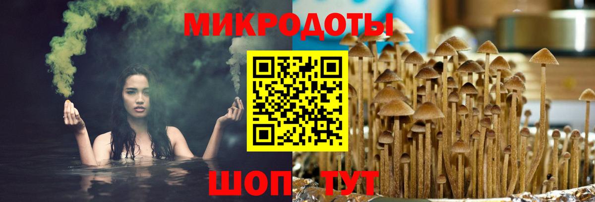 Якутск  Псилоцибиновые грибы Psilocybe  Вход с VPN 